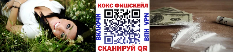 COCAIN FishScale Жиздра
