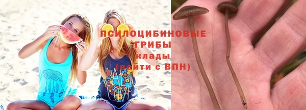 экстази Алзамай