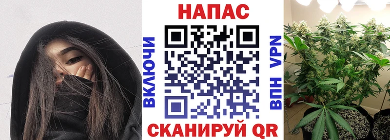 Марихуана тримм  mega ТОР  Жиздра 